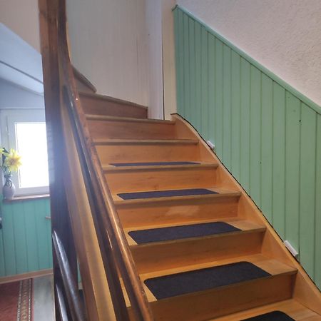 Kleine Gemuetliche Wohnung Цвиккау Экстерьер фото