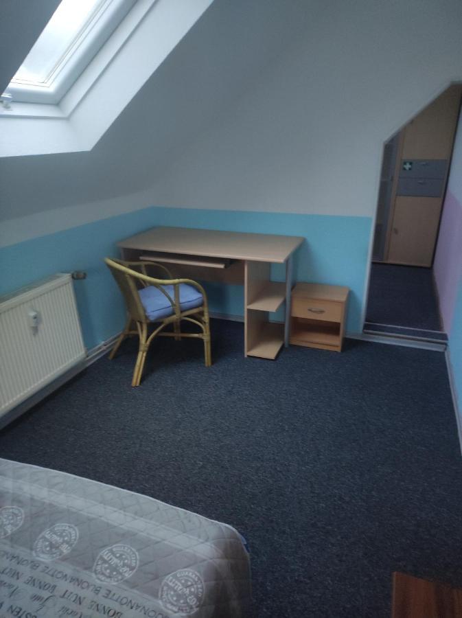Kleine Gemuetliche Wohnung Цвиккау Экстерьер фото