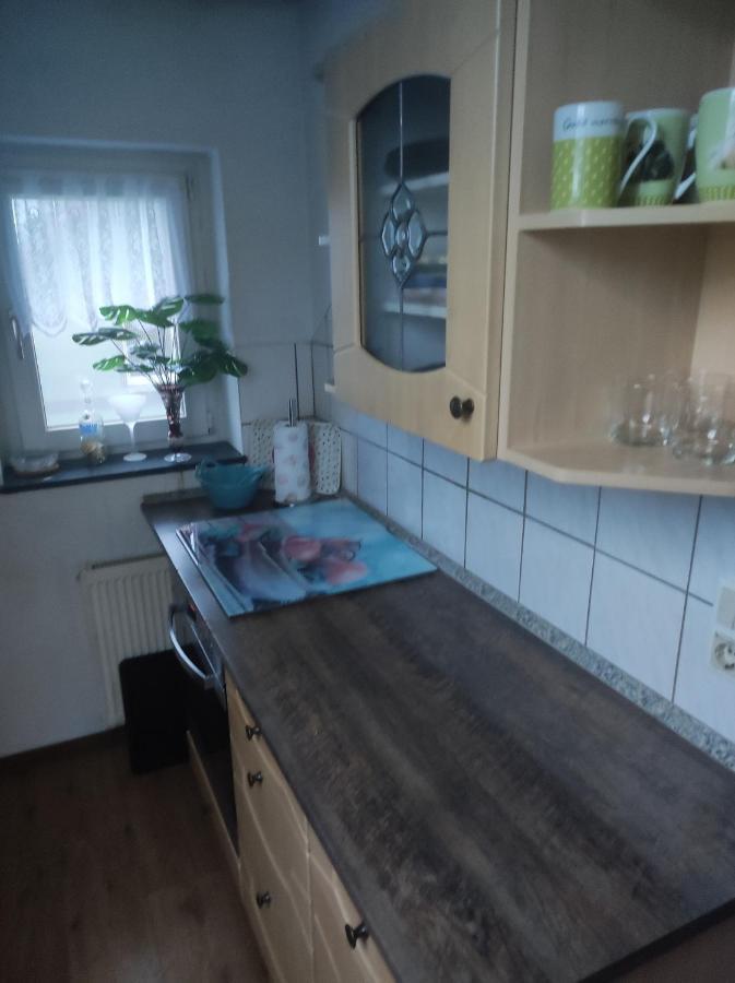 Kleine Gemuetliche Wohnung Цвиккау Экстерьер фото