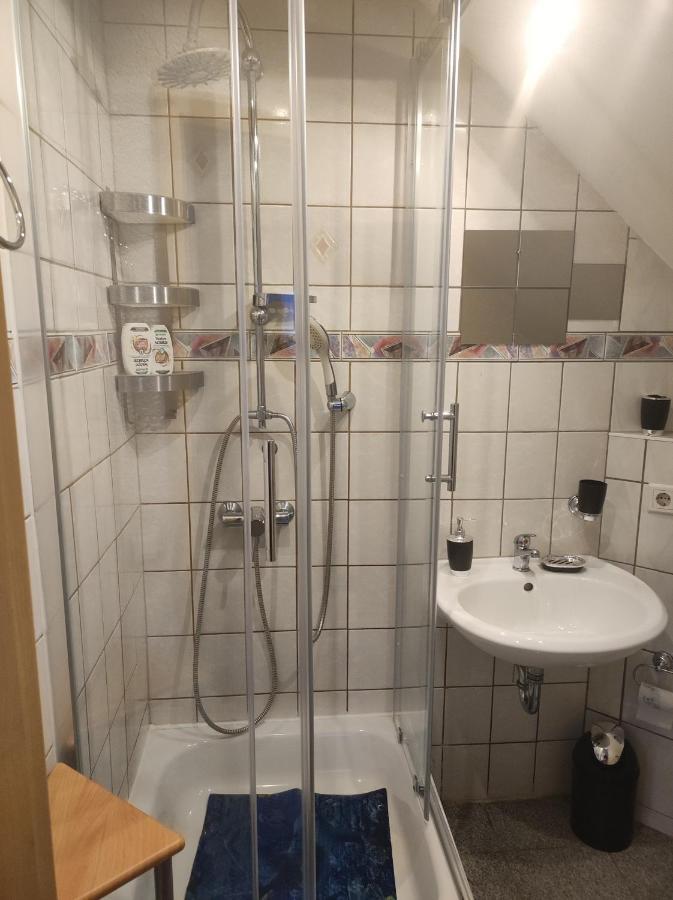 Kleine Gemuetliche Wohnung Цвиккау Экстерьер фото
